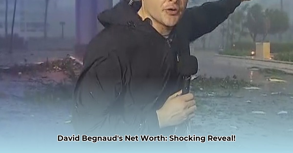 david-begnaud-net-worth